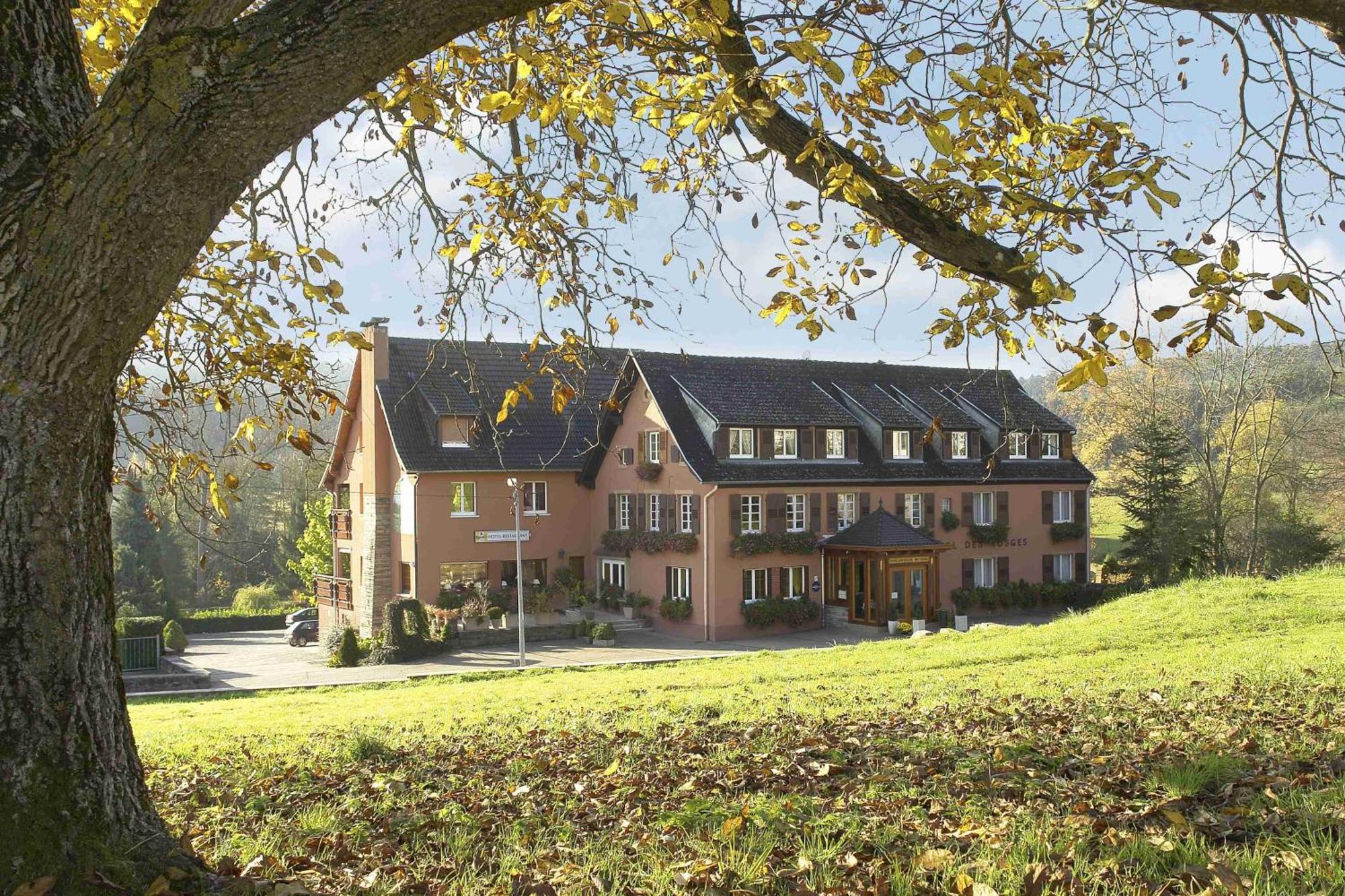 Hotel Restaurant Des Vosges Birkenwald Ngoại thất bức ảnh